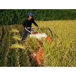 �ذ𴢤ꥹ�����ȡ��٤β���