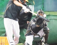 阪神ファン「ナバーロ(OPS.717)は覚醒するから残すべき！フロント有能！」