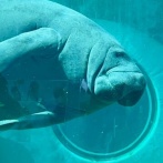 カイエファミリー接待中