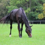 『天気予報』の画像