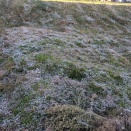 「文化祭きてー」