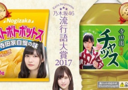 【乃木坂46】ポトポトポットス、もののけんぴ姫などが商品化！？ファンの人が作った商品パッケージが凄すぎるwww