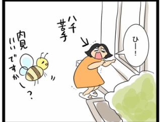 脚長蜂が巣を作ろうとしたら・・・