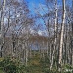 知床と八重山の風景