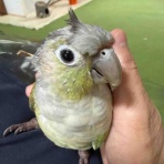 waka ⭐ のの＆のあ そしてぎずも