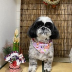 tamariのたまりば