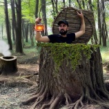 『森の中の大きな切り株の中にシェルターを作ってみた』の画像