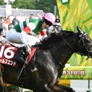 占い競馬予想　スプリンターズステークス