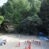 『「自然いっぱいの保育園」』の画像