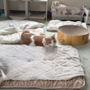 全員そろってのカメラ目線写真を撮りたい！