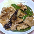 ナスとピーマンと豚肉の炒め物