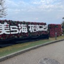 美ら海水族館