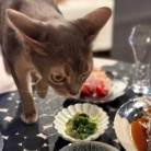 週末のだんたさまごさん　「春告魚」のメバルの煮付けの夜ごはん