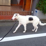 いんちょブログ