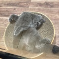 ワンラブ　ミナーラ奈良店🐱❤️