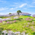 宅建合格への道しるべ