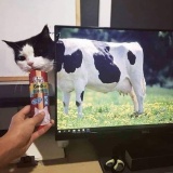 【画像】こういう脳が混乱する画像くれ
