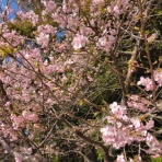 晴天確率75％の週末