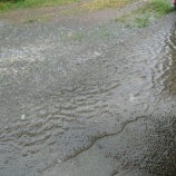 『洪水』の画像