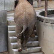 砥愛ちゃん、まだまだ上っています！下りています！