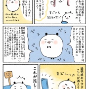 【エッセイ】数十年ぶりに推しができました