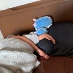 中野龍三Web