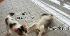 いいぞ！やれやれ！