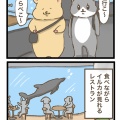 イルカの洗礼