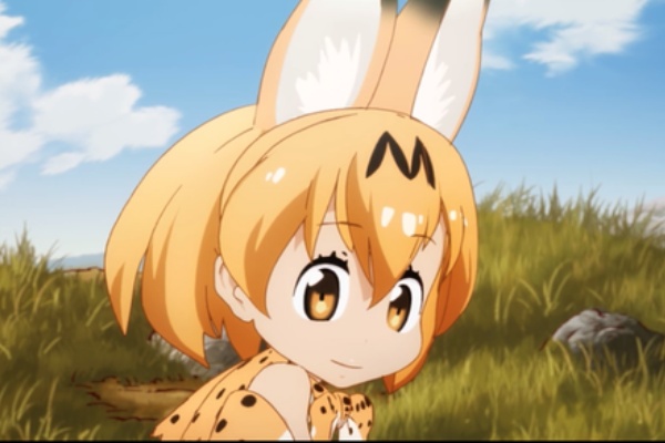 ｎｏｅｓｉｓ ｌｉｎｅ ドラマ アニメ ドキュメンタリー