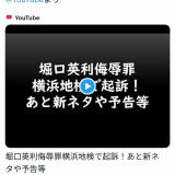 【悲報】暇空茜氏「堀口英利侮辱罪で起訴」と死人が起訴されたことを報告