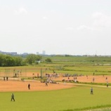 『野球日和の1日です』の画像