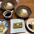 山菜の天ぷらとおろし蕎麦