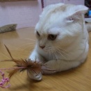 地味に見えたけど活躍してくれたひなたちゃん