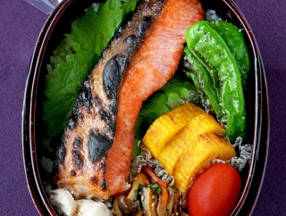 【今日のJUNA夫さん弁当】塩鮭弁当／水仙を堀り上げてみました（球根増やし中）
