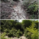 辰之介の日々 お疲れ様でした！（家に来て4649日目）