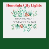 『★今年、早くない？〜Honolulu City Lights 〜』の画像