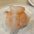 "風情ある庭" 回らない寿司店でいただく柴山港・浜坂港水揚げ 甘エビ(5尾のせ)を堪能