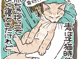 麦が昔を思い出すとき