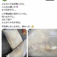 【画像】メルカリで米を買った女さん腐った米が届いてしまう…