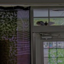 Please knock quietly