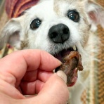 華・あず＆レン