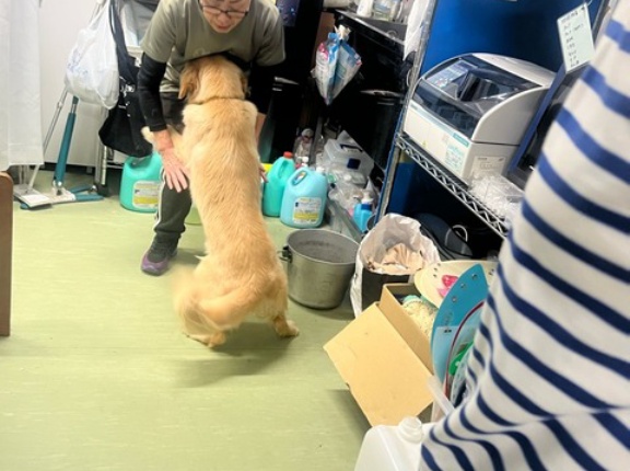 サマンサ、深夜の体重測定😅