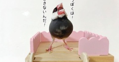 克服したぼくを見て欲しい！