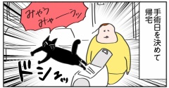 ポルちゃんが肥満細胞腫④