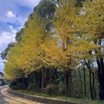 さもない日々のこと。