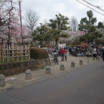 ちゃっぷの温泉・ハイキングブログ