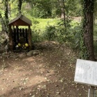 『2026/4/13　練馬区立 稲荷山公園 清水山の森を探索』の画像
