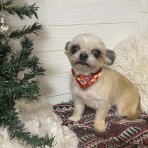 tamariのたまりば