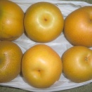 夏野菜外交、その後