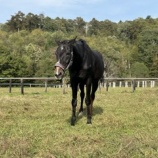 『今年の夏は』の画像